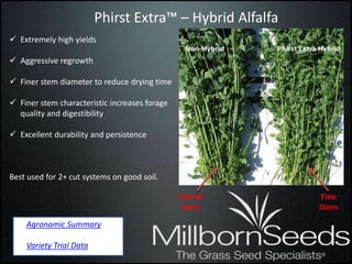 Phirst Extra™ – Hybrid Alfalfa
 Extremely high yields

 Aggressive regrowth

 Finer stem diameter to reduce drying time

 Finer stem characteristic increases forage
  quality and digestibility

 Excellent durability and persistence



Best used for 2+ cut systems on good soil.

                                               Coarse     Fine
                                                Stem      Stem
    Agronomic Summary

    Variety Trial Data
 