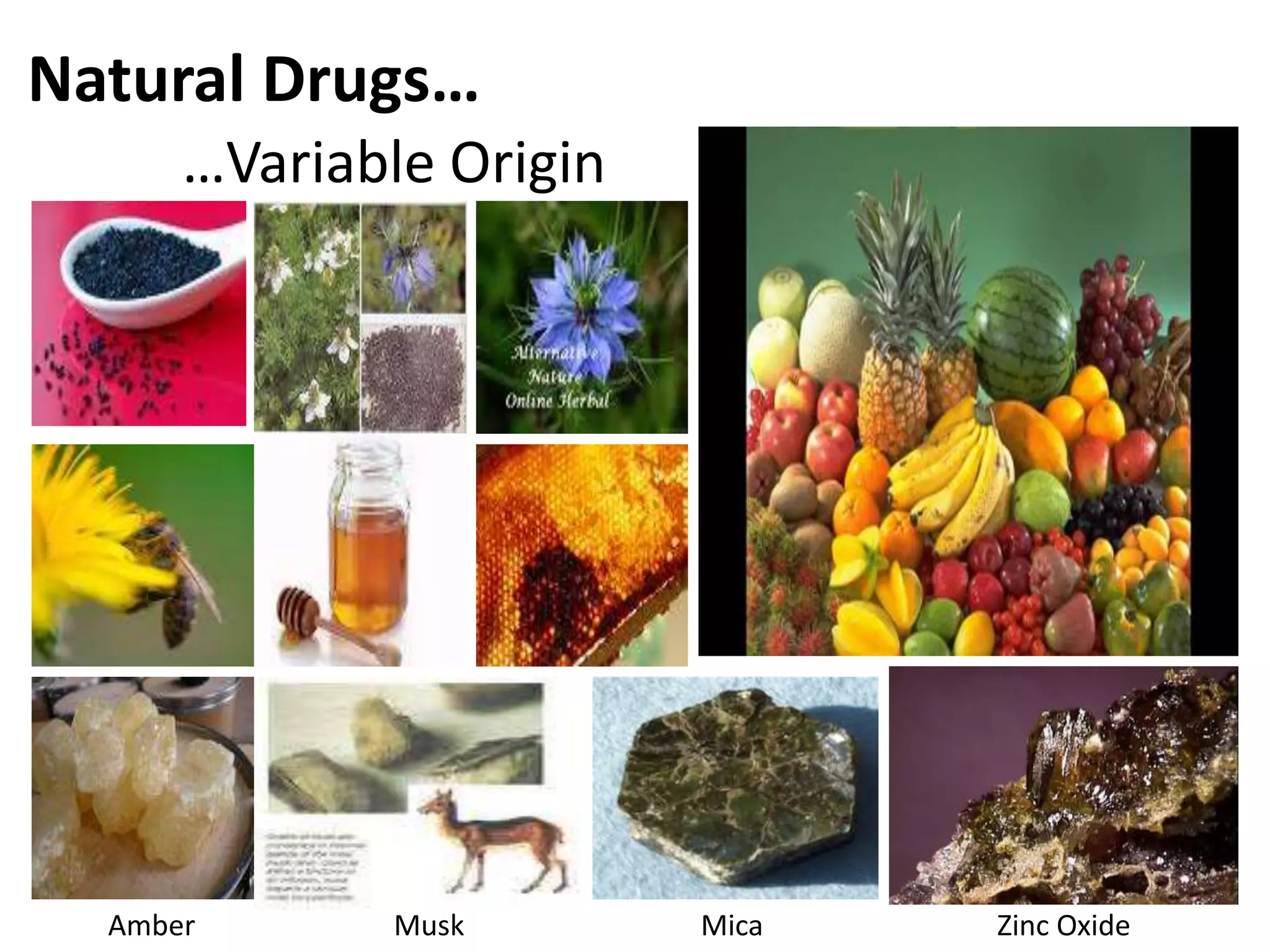 Natural Drugs…
…Variable Origin

Amber

Musk

Mica

Zinc Oxide

 