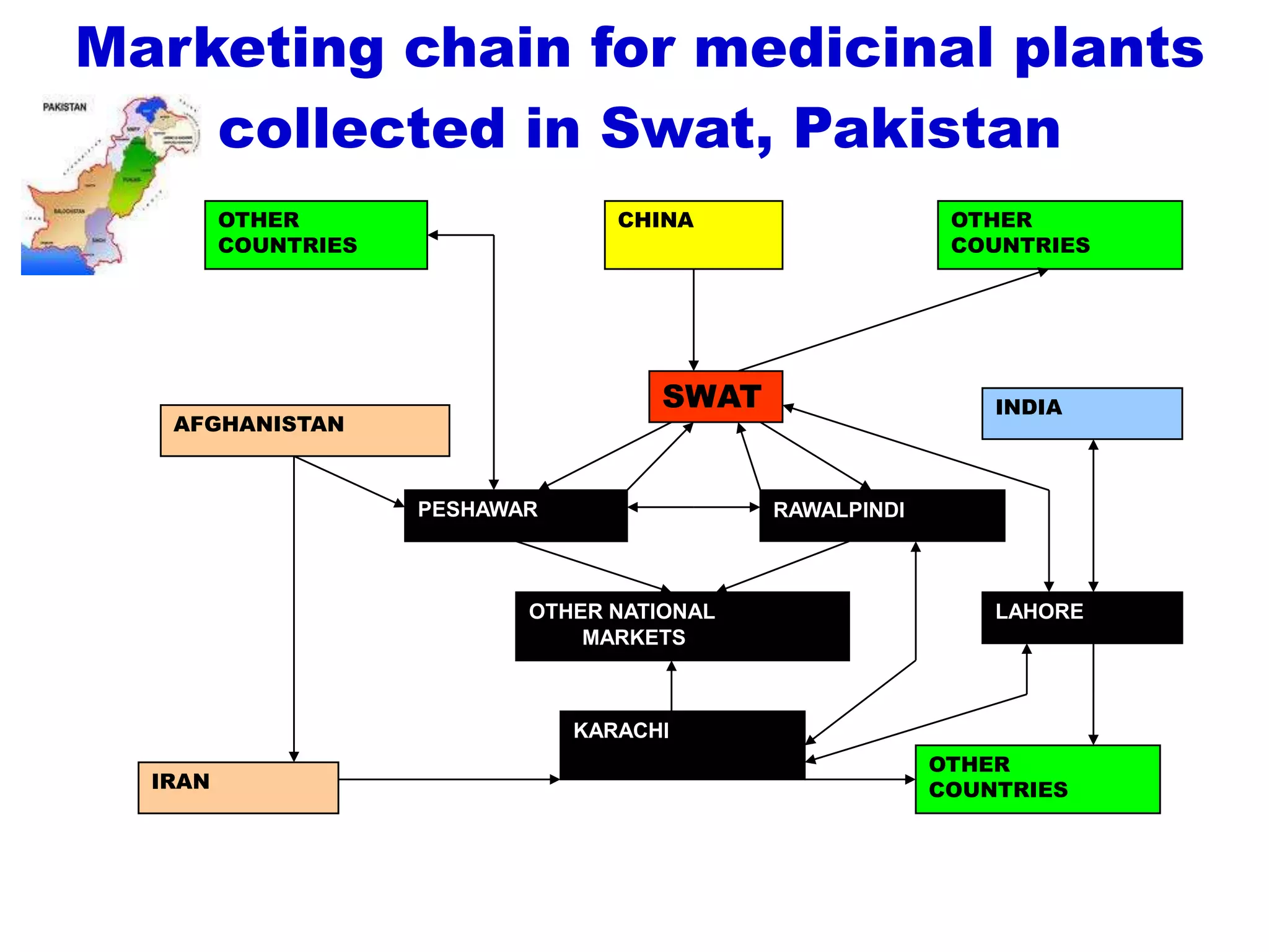 Marketing chain for medicinal plants
collected in Swat, Pakistan
OTHER
COUNTRIES

CHINA

OTHER
COUNTRIES

SWAT

AFGHANISTAN

PESHAWAR

INDIA

RAWALPINDI

OTHER NATIONAL
MARKETS

LAHORE

KARACHI
IRAN

OTHER
COUNTRIES

 