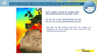 Product showcase tac_sst_010