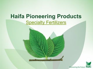 Haifa Pioneering Products
Specialty Fertilizers
 