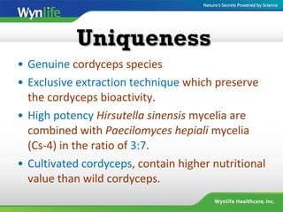 • Genuine cordyceps species
• Exclusive extraction technique which preserve
the cordyceps bioactivity.
• High potency Hirsutella sinensis mycelia are
combined with Paecilomyces hepiali mycelia
(Cs-4) in the ratio of 3:7.
• Cultivated cordyceps, contain higher nutritional
value than wild cordyceps.
UniquenessUniqueness
 