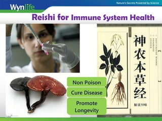 Reishi for Immune System Health
Non Poison
Promote
Longevity
Cure Disease
 