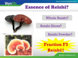 Essence of Reishi?
Whole Reishi?
Fraction F3
Reishi!!
Reishi Slices?
Reishi Powder?
 