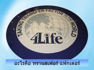 อะไรคือ ทรานสเฟอร์ แฟกเตอร์
 