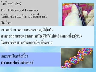 ในปี คศ. 1949
   1949: Dr H. Sherwood
Dr.Lawrence made an amazing
     H Sherwood Lawrence
ได้ค้นพบขณะทาการวิจัยเกี่ยวกับ
   discovery while researching
วัณtuberculosis.
    โรค
เขาพบว่found that an ‘ImmuneกัResponse’
    He าการตอบสนองของภูมิคุ้ม น
    could be transferred from a donor to a
สามารถถ่ายทอดจากคนหนึ่งthe ห้)ไปยังอีกfrom ่ง(ผู้รบ)
    recipient by injecting
                           (ผู้ใ extracts คนหนึ ั
โดยการฉีดสารสกัcells. ดเลือดขาว
    white blood ดจากเม็


และเขาเรียกสิ่งนีit ่า
   He called ้ว ...
ทรานสเฟอร์ แฟกเตอร์ Factors’
          ‘Transfer
 