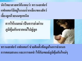 นักScientistsพบว่า ทรานสเฟอร์ that
     วิทยาศาสตร์ค้น discovered
แฟกเตอร์มีอยู่ในนมน้าเหลืองของสัตว์ also in the
     Transfer Factors exist
เลี้ยColostrum of all MAMMALS
     งลูกด้วยนมทุกชนิด
   การให้นมแม่ เป็นการส่งผ่าน
     Breastfeeding mothers
   ภูมิคุ้มกันon their immunity
     pass
              จากแม่ไปสู่ลูก
     to their babies.

ทรานสเฟอร์ แฟกเตอร์ ช่วยติequip มูลในการจาแนก with
   Transfer Factors       ดตั้งข้อ the new cells
การตอบสนอง data to recognize, ภูมิคุ้มกันใหม่&
       the และการจดจา ให้กับเซลล์ respond ๆ
    remember when a threat is encountered.
 