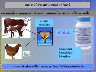 แหล่งกาเนิดของทรานสเฟอร์ แฟกเตอร์
จากแหล่งที่อุดมสมบูรณ์ และปลอดภัย – นมน้าเหลืองของวัว และไข่แดงจากไก่
                                   การกรอง
                                  อย่างละเอียด

                                                    ทาให้แห้ง


                                                     ไม่มียาฆ่าแมลง
                                                     ไม่มียาปฏิชีวนะ
                                                     ไม่มีฮอร์โมน


        ทรานสเฟอร์ แฟกเตอร์ที่ได้มาจากมนุษย์ วัว และ ไก่มีโมเลกุลที่เหมือนกัน
 