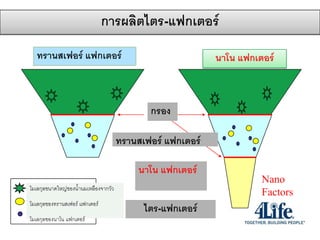 Making Tri-Factorตไตร-แฟกเตอร์
           การผลิ
   ทรานสเฟอร์ แฟกเตอร์
    Transfer Factor                                          นาโน แฟกเตอร์
                                                              Nano Factor




                                              กรอง
                                              Filters


                                       ทรานสเฟอร์ แฟกเตอร์
                                        Transfer Factorsr

                                            นาโน แฟกเตอร์
                                                                       Nano
โมเลกุลขนาดใหญ่ของน้้านมเหลืองจากวัว
Large Colostrum Molecules
                                                                       Factors
โมเลกุลของทรานสเฟอร์ แฟกเตอร์
Transfer Factor Molecules

Nano Factor Molecules
                                             ไตร-แฟกเตอร์
                                            Tri-Factor
โมเลกุลของนาโน แฟกเตอร์
 