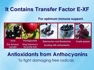 It Contains Transfer Factor E-XF
                                For optimum immune support.




   Acai      Pomegranate          Elderberries and Blueberries   Purple grapes
The Amazon   King Solomon’s        Bursting with antioxidants
  wonder      favourite fruit



Antioxidants from Anthocyanins
          To fight damaging free radicals
 