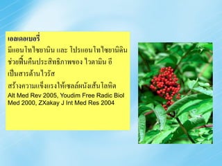 เอลเดอเบอรี่
มีแอนโทไซยานิน และ โปรแอนโทไซยานิดิน
ช่วยฟื้นคืนประสิทธิภาพของ ไวตามิน อี
เป็นสารต้านไวรัส
สร้างความแข็งแรงให้เซลล์ผนังเส้นโลหิต
Alt Med Rev 2005, Youdim Free Radic Biol
Med 2000, ZXakay J Int Med Res 2004
 