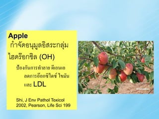 Apple
 ก้าจัดอนุมูลอิสระกลุ่ม
ไฮดร๊อกซิล (OH)
   ป้องกันการทาลาย ดีเอนเอ
       ลดการอ๊อกซิไดซ์ ไขมัน
       และ LDL

   Shi, J Env Pathol Toxicol
   2002, Pearson, Life Sci 199
 