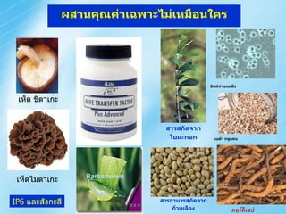 ผสานคุณค่า๶ฉพาะไม่เหมือȨคร




                                                    ยีสต์ทาขนมปัง


 เห็ด ชิตาเกะ


                                   สารสกัดจาก
                                    ใบมะกอก           เบต้า กลูแคน




                    Barbadensis
 เห็ดไมตาเกะ

IP6 และสังกะสี                    สารอาหารสกัดจาก
                                      ถั่วเหลือง              คอร์ดิเซป
 
