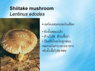 Shiitake mushroom
Lentinus edodes

             ลดโคเลสเตอรอลในเลือด

            • ยับยั้งเซลมะเร็ง
            • ต้านไวรัส   ต้านเชื้อรา
            • ป้องกันโรคกระดูกอ่อน
            •ลดกรดในกระเพาะอาหาร
            •ยับยังเชื้อไวรัส HIV
                  ้
 