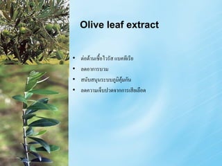 Olive leaf extract


•   ต่อต้านเชื้อไวรัส แบคทีเรีย
•   ลดอาการบวม
•   สนับสนุนระบบภูมิคุ้มกัน
•   ลดความเจ็บปวดจากการเสียเลือด
 