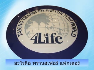 อะไรคือ ทรานสเฟอร์ แฟกเตอร์ 