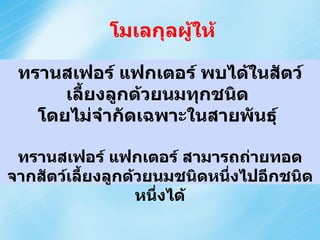 โมเลกุลผู้ให้ Transfer Factors are found in  all  mammals & they are  not   species specific . The Transfer Factors from one mammal can transfer immunity to another mammal. ทรานสเฟอร์ แฟกเตอร์ พบได้ในสัตว์เลี้ยงลูกด้วยนมทุกชนิด  โดยไม่จำกัดเฉพาะในสายพันธุ์  ทรานสเฟอร์ แฟกเตอร์ สามารถถ่ายทอดจากสัตว์เลี้ยงลูกด้วยนมชนิดหนึ่งไปอีกชนิดหนึ่งได้ 