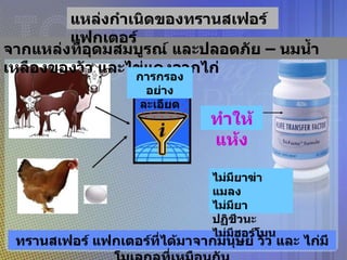 จากแหล่งที่อุดมสมบูรณ์ และปลอดภัย – นมน้ำเหลืองของวัว และไข่แดงจากไก่ ทรานสเฟอร์ แฟกเตอร์ที่ได้มาจากมนุษย์ วัว และ ไก่มีโมเลกุลที่เหมือนกัน ทำให้แห้ง ไม่มียาฆ่าแมลง ไม่มียาปฏิชีวนะ ไม่มีฮอร์โมน แหล่งกำเนิดของทรานสเฟอร์ แฟกเตอร์ การกรอง อย่างละเอียด 