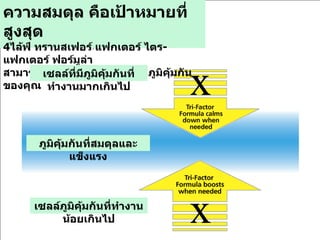 x x ความสมดุล คือเป้าหมายที่สูงสุด 4 ไล้ฟ์ ทรานสเฟอร์ แฟกเตอร์ ไตร -  แฟกเตอร์ ฟอร์มูล่า สามารถช่วยปรับสมดุลให้ระบบภูมิคุ้มกันของคุณ ภูมิคุ้มกันที่สมดุลและแข็งแรง เซลล์ที่มีภูมิคุ้มกันที่ทำงานมากเกินไป เซลล์ภูมิคุ้มกันที่ทำงานน้อยเกินไป 