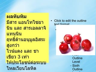 ผลทับทิม มีสาร แอนโทไซยานิน และ สารเอลลาจิแทนนิน ฤทธิ์ต้านอนุมูลอิสระ สูงกว่า ไวน์แดง และ ชาเขียว  3  เท่า ให้ประโยชน์ต่อระบบไหลเวียนโลหิต 