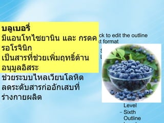 บลูเบอรี่ มีแอนโทไซยานิน และ กรดครอโรจินิก เป็นสารที่ช่วยเพิ่มฤทธิ์ต้านอนุมูลอิสระ ช่วยระบบไหลเวียนโลหิต ลดระดับสารก่ออักเสบที่ร่างกายผลิต 