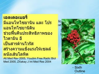 เอลเดอเบอรี่ มีแอนโทไซยานิน และ โปรแอนโทไซยานิดิน ช่วยฟื้นคืนประสิทธิภาพของ ไวตามิน อี เป็นสารต้านไวรัส สร้างความแข็งแรงให้เซลล์ผนังเส้นโลหิต Alt Med Rev 2005, Youdim Free Radic Biol Med 2000, ZXakay J Int Med Res 2004 