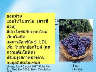 องุ่นม่วง แอนโทไซยานิน  ( สารสีม่วง ) มีประโยชน์กับระบบไหลเวียนโลหิต ลดการอ๊อกซิไดซ์  LDL เพิ่ม ไนตริกอ๊อกไซด์  ( ลดความดันโลหิต ) ปรับปรุงสภาพสารต้านอนุมูลอิสระในเซลล์ Miyagi, Am J Cardiol 1997, Folts Adv Exp Med Biol 2002, Stein, Circulation 1999 