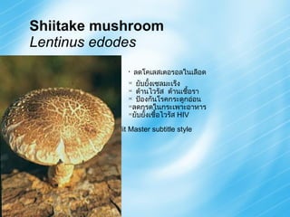 Shiitake mushroom Lentinus edodes ลดโคเลสเตอรอลในเลือด ยับยั้งเซลมะเร็ง ต้านไวรัส  ต้านเชื้อรา  ป้องกันโรคกระดูกอ่อน ลดกรดในกระเพาะอาหาร ยับยั้งเชื้อไวรัส  HIV 