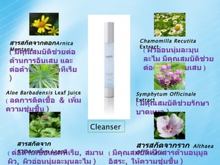 สารสกัดจากดอก Arnica Montana   (  มีคุณสมบัติช่วยต่อต้านการอับเสบ และต่อต้านเชื้อแบคทีเรีย  )  Cleanser Aloe Barbadensis  Leaf Juice (  ลดการติดเชื้อ   &  เพิ่มความชุ่มชื้น  ) สารสกัดจากราก Arctium Lappa   (  ต่อต้านเชื้อแบคทีเรีย ,  สมานผิว ,  ผิวอ่อนนุ่มละมุนละไม  ) Chamomilla Recutita   Extract (  ผิวอ่อนนุ่มละมุนละไม มีคุณสมบัติช่วยต่อต้านการอับเสบ   ) Symphytum Officinale  Extract (  มีคุณสมบัติช่วยรักษาบาดแผล  )   สารสกัดจากราก   Althaea Officinalis   (  มีคุณสมบัติเป็นสารต้านอนุมูลอิสระ ,  ให้ความชุ่มชื้น  ) 