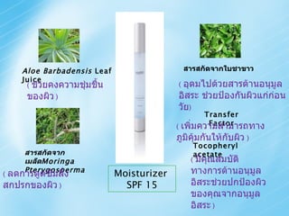 Moisturizer  SPF 15 Aloe Barbadensis  Leaf Juice (  ช่วยคงความชุ่มชื้นของผิว   ) สารสกัดจากใบชาขาว (  อุดมไปด้วยสารต้านอนุมูลอิสระ ช่วยป้องกันผิวแก่ก่อนวัย ) สารสกัดจากเมล็ด Moringa Pterygosperma   (  ลดการดูดซึมสิ่งสกปรกของผิว   )  Tocopheryl acetate (  มีคุณสมบัติทางการต้านอนุมูลอิสระช่วยปกป้องผิวของคุณจากอนุมูลอิสระ   ) Transfer Factor (  เพิ่มความสามารถทางภูมิคุ้มกันให้กับผิว   ) 