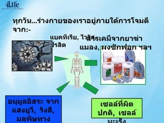 แบคทีเรีย ,  ไวรัส ,  ปรสิต สารเคมีจากยาฆ่าแมลง ,  ผงซักฟอก ฯลฯ อนุมูลอิสระ จากแสงยูวี ,  รังสี ,  มลพิษทางอากาศ ,  ควันบุหรี่ เซลล์ที่ผิดปกติ ,  เซลล์มะเร็ง ทุกวัน ... ร่างกายของเราอยู่ภายใต้การโจมตี จาก :- 