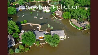 Ecosystem Pollution
 