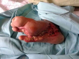 Prepared By ROYAL SWEETENER STEVIA
TESTIMONI GROUPS
 