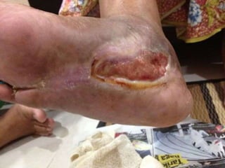 Prepared By ROYAL SWEETENER STEVIA
TESTIMONI GROUPS
 