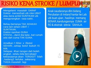 Prepared By ROYAL SWEETENER STEVIA
RISIKO KENA STROKE / LUMPUH
 