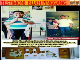 Prepared By ROYAL SWEETENER STEVIA
TESTIMONI BUAH PINGGANG
 