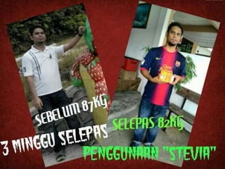 Prepared By ROYAL SWEETENER STEVIA
 