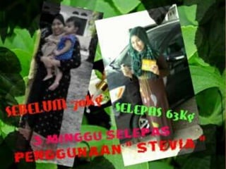 Prepared By ROYAL SWEETENER STEVIA
 