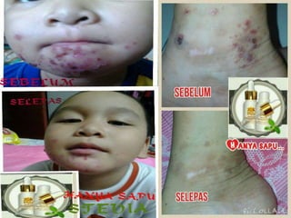 Prepared By ROYAL SWEETENER STEVIA
TESTIMONI GROUPS
 