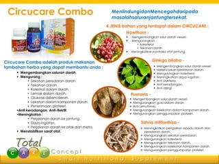 Circucare Combo                                     MenlindungidanMencegahdaripada
                                                     masalahsaluranjantungtersekat.
                                                   4 JENIS bahan yang terdapat dalam CIRCUCARE :
                                                             Hawthorn -
                                                              Mengembangkan salur darah vessel.
                                                              Mengurangkan :
                                                                  • kolesterol
                                                                  • tekanan darah
                                                              Meningkatkan kontraksi otot jantung.


Circucare Combo adalah produk makanan                                        Ginkgo biloba -
tambahan herba yang dapat membantu anda :                                        Mengembangkan salur darah vessel.
                                                                                 Melancarkan peredaran darah.
      Mengembangkan saluran darah.                                              Mengurangkan kolesterol.
      Mengurang :                                                               Meningkatkan daya ingatan.
            • Sekatan peredaran darah.                                           Anti bakteria.
            • Tekanan darah.                                                     Anti keradangan.
            • Kolestrol dalam darah.                                             Anti alergi.
            • Lemak dalam darah.                               Pueraria -
            • Glukosa dalam darah.                                Mengembangkan salur darah vessel.
            • Lekatan dalam komponen darah.                       Mengurangkan gula dalam darah.
            • Penerimaan platelet.                                Anti arrhythmia.
     Anti keradangan, Anti-ifektif.                              Mengurangkan kelekatan dalam komponen darah.
     Meningkatan :                                               Mengurangkan penggumpalan platelet.
            • Perjalanan darah ke jantung.
            • Daya ingatan.                                            Salvia miltiorrhiza -
            • Perjalanan darah ke otak dan mata.                        Meningkatkan pengaliran isipadu darah dan
      Menstabilkan saraf otot.                                          peredaran darah.
                                                                        Mengurangkan sekatan peredaran.
                                                                        Mengurangkan kolesterol.
                                                                        Mengurangkan tekanan darah.
                                                                        Mengurangkan kelekatan komponen darah.
                                                                        Mengurangkan penggumpalan platelet.


                            Smart          Nutritional             Supplement
 