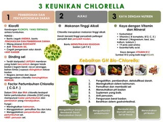 3 KEUNIKAN CHLORELLA
 1
          PEMBERSIHAN DAN
       PENYAHTOKSIKAN DARAH                 2               ALKALI
                                                                                            3    KAYA DENGAN NUTRIEN


   Klorofil                                      Makanan Tinggi Alkali                           Kaya dengan Vitamin
Kandungan KLOROFIL YANG TERTINGGI                                                                    dan Mineral
antara tumbuhan.                           Chlorella merupakan makanan tinggi alkali.
                                                                                                 Karbohidrat
FUNGSI :                                   Darah berasid tinggi penyebab pelbagai                Vitamins ( B kompleks, B12, C, E )
 Bantu cegah ANEMIA, bantu                penyakit dan penyakit moden.                          Mineral ( Magnesium, besi, zinc,
.PENGHASILAN DAN PEMBERSIHAN DARAH.                                                             kalium, kalsium )
 Hilang sinaran RADIOAKTIF.                    Bantu MENEUTRALKAN KEASIDAN                      19 jenis asid amino
 Anti PENUAAN SEL.                                    badan ( pH 7.4 )                          Essential fatty acid
 Cegah pengerasan salur darah.
ANTI KANSER                                                                                   Kaya dengan VITAMIN B12
                                                                                            Sumber B12 yang baik bagiVEGAN.
   Dinding sel
 Terdiri daripada3 LAPISAN membran                           Kebaikan GH Bio-Chlorella:
yang boleh bercantum dengan toksik
badan ( logam berat, racun serangga,
bahan kimia ) supaya disingkirkan keluar
badan.
 Negara Jerman dan Jepun
menggunakan chlorella menyingkirkan
MERKURI.                                                              1.     Pengaktifan, pembersihan, detoksifikasi darah.
   Factor Pertumbuhan Chlorella                                       2.     Meningkatkan sistem keimunan.
                                                                      3.     Pemulihan dan membaiki sel
  ( C.G.F. )
                                                                      4.     Meneutralkan pH badan
Dalam DNA dan RNA chlorella terdapat                                  5.     Suplemen yang baik.
faktor pertumbuhan chlorella (CGF) yang                               6.     Anti penuaan.
mempunyai kadar pertumbuhan dan                                       7.     Pengurusan berat badan.
pembiakan yang menakjudkan.                                           8.     Bersihkan sistem gastrointestinal.
Fungsi :
 Meningkatkan keimunan.
 Menggalakkan pemulihan tisu dan luka.     Mengaktifkan Darah                                   Membaiki dan
                                                                           MenguatkanSist                              Meneutralkan
 Menggalakkan penyembuhan dan               Membersih Darah                                    Memulih semula
                                                                            emKeimunan                                  pH Badan
pertumbuhan sel.                            Menyatosikan Darah                                   Sel Sel Rosak
ANTI penuaan sel.
 