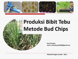 Produksi Bibit Tebu




        y
      nl
Metode Bud Chips

     O
  ft
ra
D
         Hari Prasetyo
         email : prasetyo.jbr2003@gmail.com




         Politeknik Negeri Jember - 2013
 