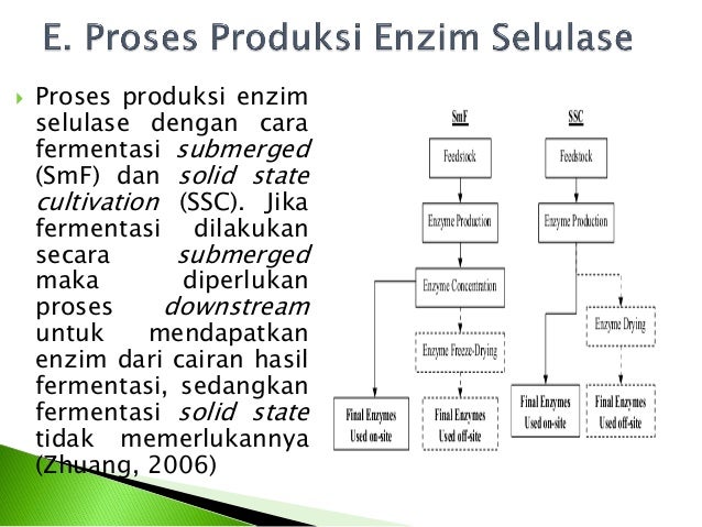 Produksi enzim selulase