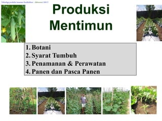 Produksi
Mentimun
1.Botani
2.Syarat Tumbuh
3.Penamanan & Perawatan
4.Panen dan Pasca Panen
Teknologi produksi tanaman hortikultura – fahrurrozi (2017)
 