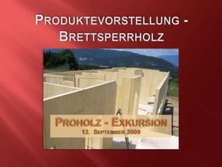 Produktevorstellung -Brettsperrholz Proholz- Exkursion 12.  September2009 