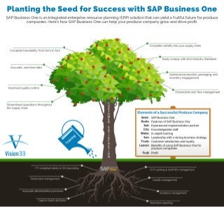 Planting the Seed for Success with SAP Business One 