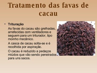 Tratamento das favas de cacau Trituração As favas do cacau são grelhadas, arrefecidas com ventiladores e seguem para um triturador, tipo moinho mecânico. A casca de cacau solta-se e é recolhida por aspiração. O cacau é reduzido a pedaços miúdos que vão sendo peneirados para uns sacos. 