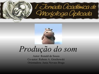  Produção do som Autor :  Ronald de Souza Co-autor :  Rubens A. Grochowski Orientadora :  Junia Novaes Braga 