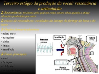 ♫  Ressonância:  fenômeno pelo qual um corpo sonoro vibra quando o atinge vibrações produzidas por outro ♫  caixas de ressonância: cavidades da laringe da faringe da boca e do nariz ♫  Órgãos fonoarticulatórios palato mole bochechas lábios  língua mandíbula ♫  Focos principais - nasal faríngeo cul de sac  laringo-faríngeo Terceiro estágio da produção da vocal: ressonância e articulação 