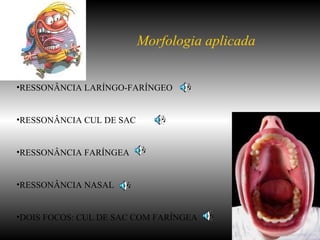 Morfologia aplicada RESSONÂNCIA LARÍNGO-FARÍNGEO RESSONÂNCIA CUL DE SAC RESSONÂNCIA FARÍNGEA RESSONÂNCIA NASAL DOIS FOCOS: CUL DE SAC COM FARÍNGEA 